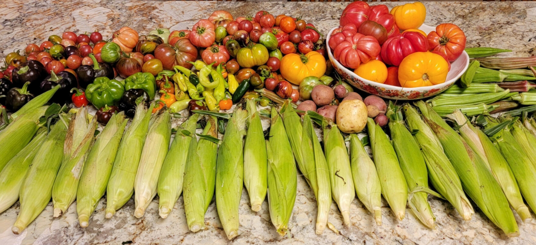 Fresh veggies!
